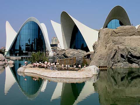 Curso Barcelona