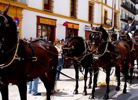 Seville 