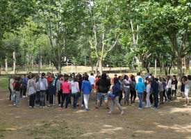 Course English in Camp in Sierra de Madrid (6 - 16 years old)