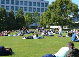 Université de Dublin