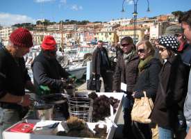 Actividades en Cannes