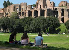 Language4you: Actividades en Roma