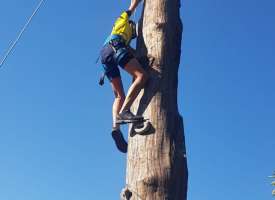 Campamento inglés Avila