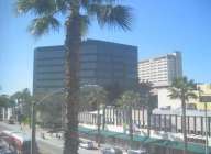 Course English in Los Angeles - Santa Monica 